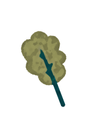 Trekking in Italia Scoprire il Mondo